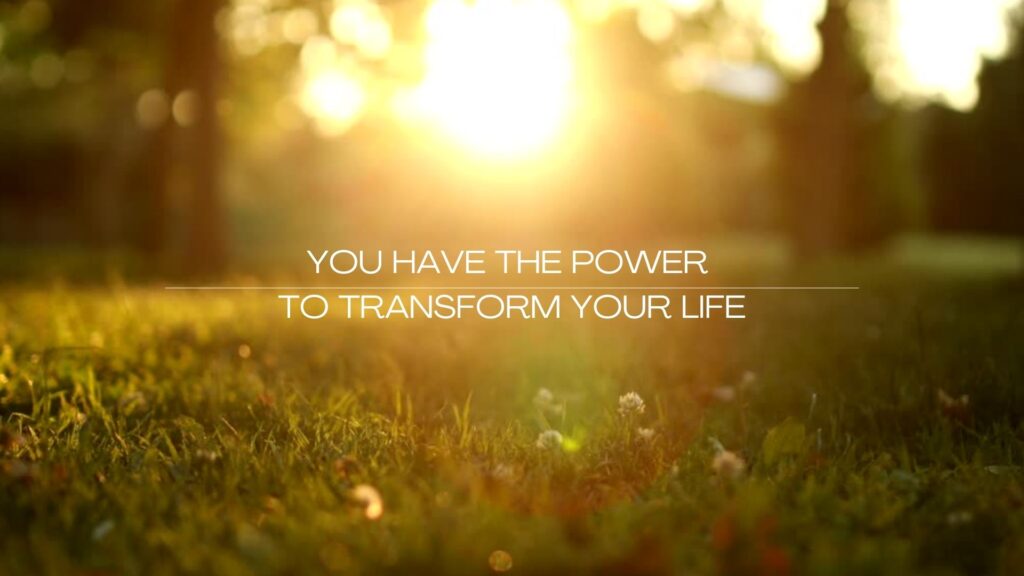 Orange Sunny Nature Inspirational Power and Peace Quote Video.